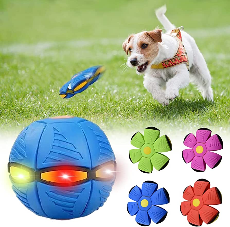 Interactive Dog Frisbee