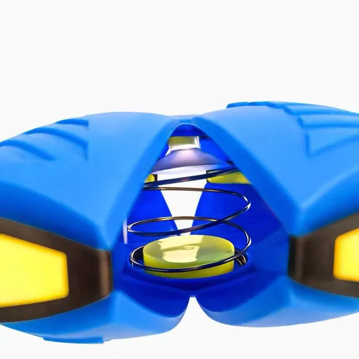 Interactive Dog Frisbee