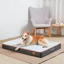 Premium Orthopedic Memory Foam Dog Bed | Waterproof Washable Mattress