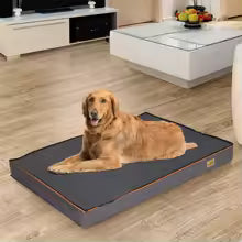 Premium Orthopedic Memory Foam Dog Bed | Waterproof Washable Mattress