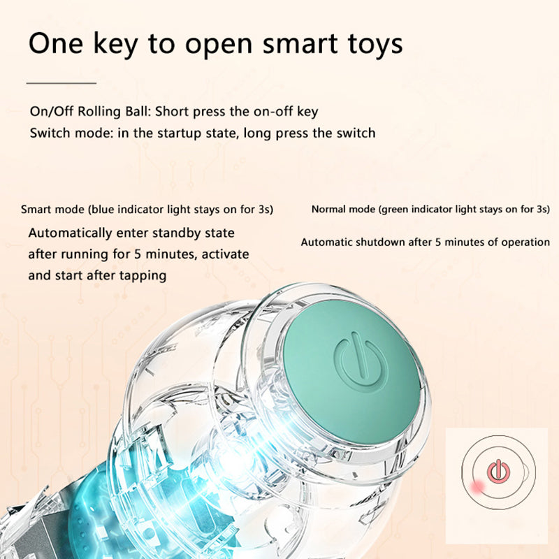Interactive Rolling Cat Ball