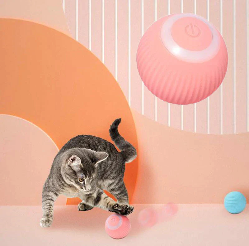 Interactive Rolling Cat Ball