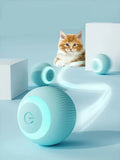 Interactive Rolling Cat Ball