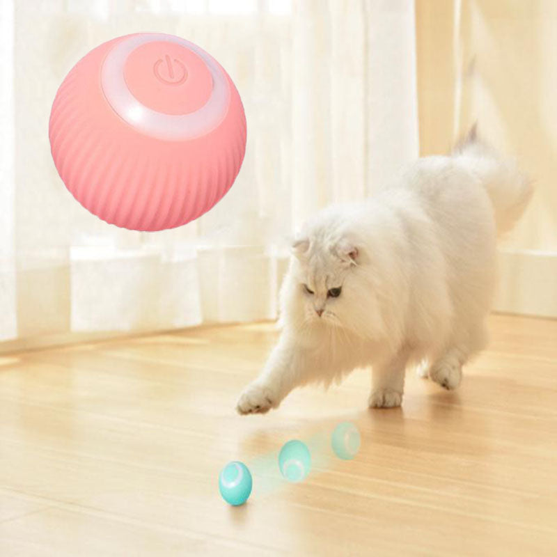 Interactive Rolling Cat Ball
