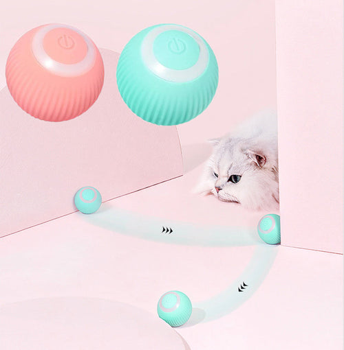 Interactive Rolling Cat Ball